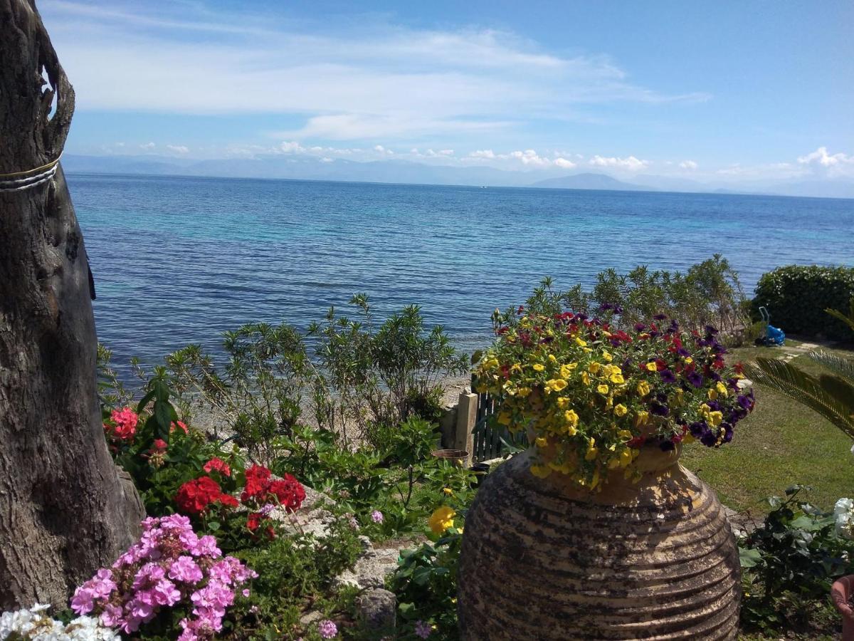Studio Nausica... A Sense Of Paradise! Agia Pelagia Chlomou Екстер'єр фото