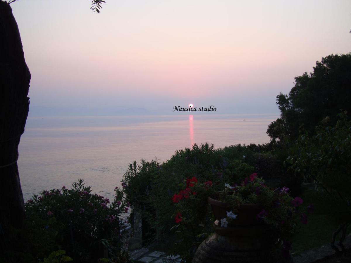 Studio Nausica... A Sense Of Paradise! Agia Pelagia Chlomou Екстер'єр фото