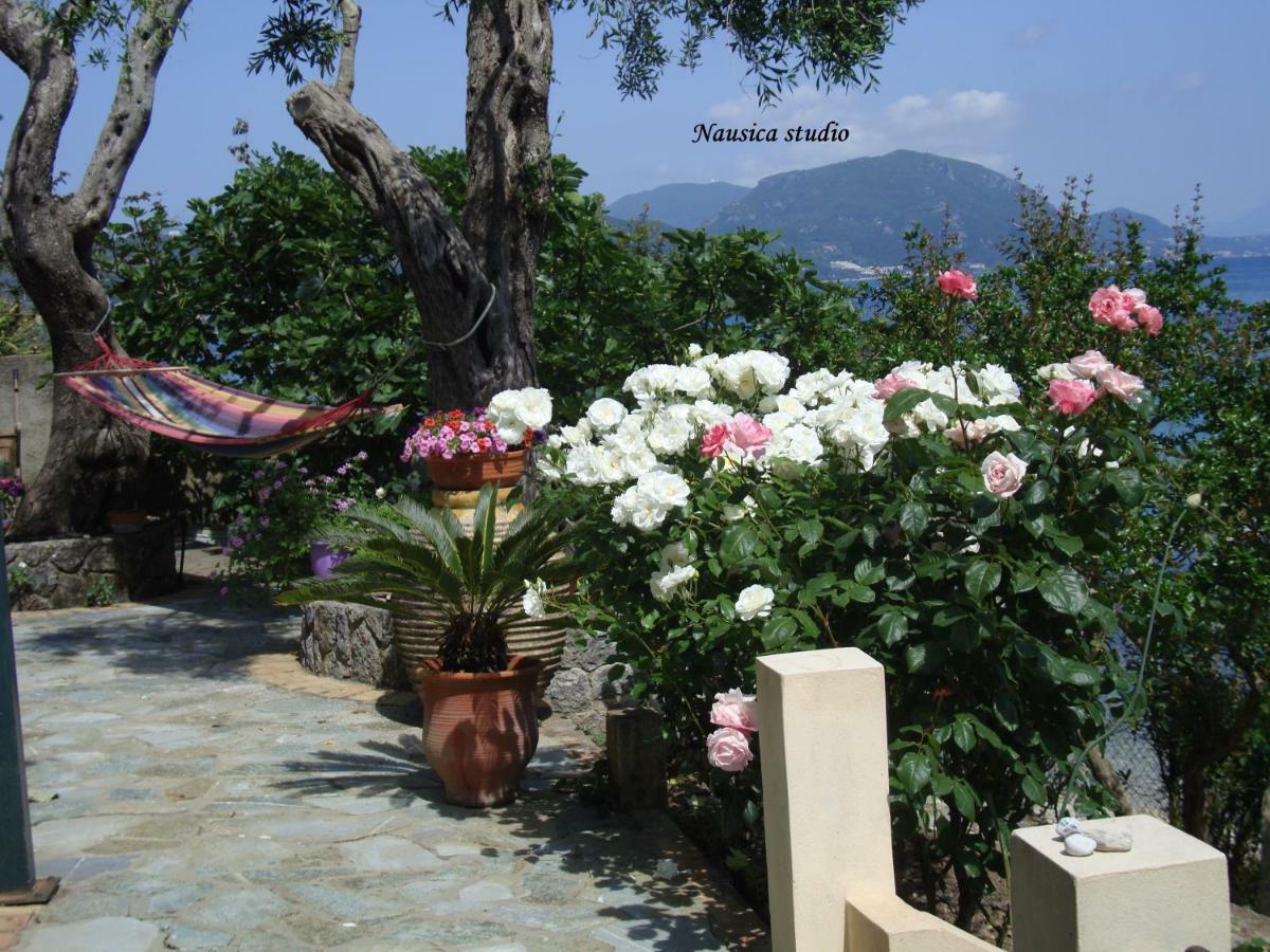 Studio Nausica... A Sense Of Paradise! Agia Pelagia Chlomou Екстер'єр фото