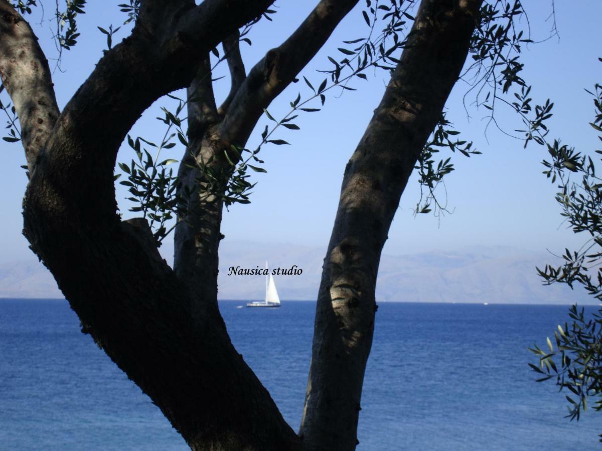 Studio Nausica... A Sense Of Paradise! Agia Pelagia Chlomou Екстер'єр фото