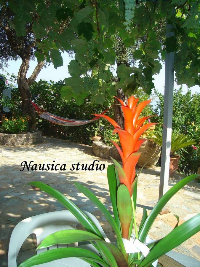Studio Nausica... A Sense Of Paradise! Agia Pelagia Chlomou Екстер'єр фото