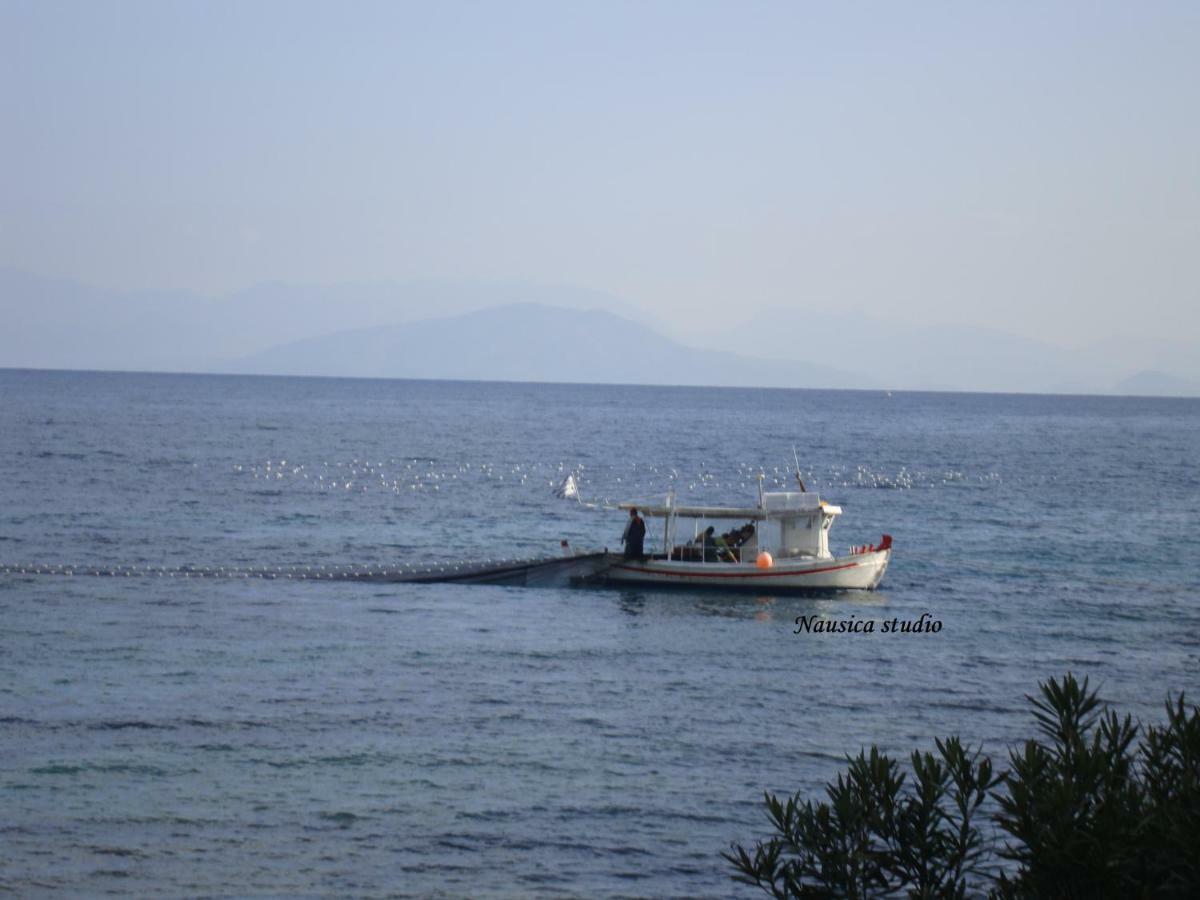 Studio Nausica... A Sense Of Paradise! Agia Pelagia Chlomou Екстер'єр фото