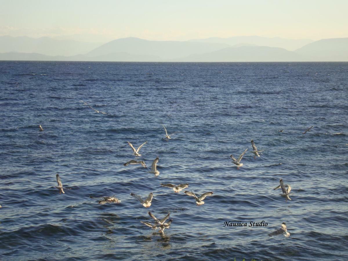 Studio Nausica... A Sense Of Paradise! Agia Pelagia Chlomou Екстер'єр фото