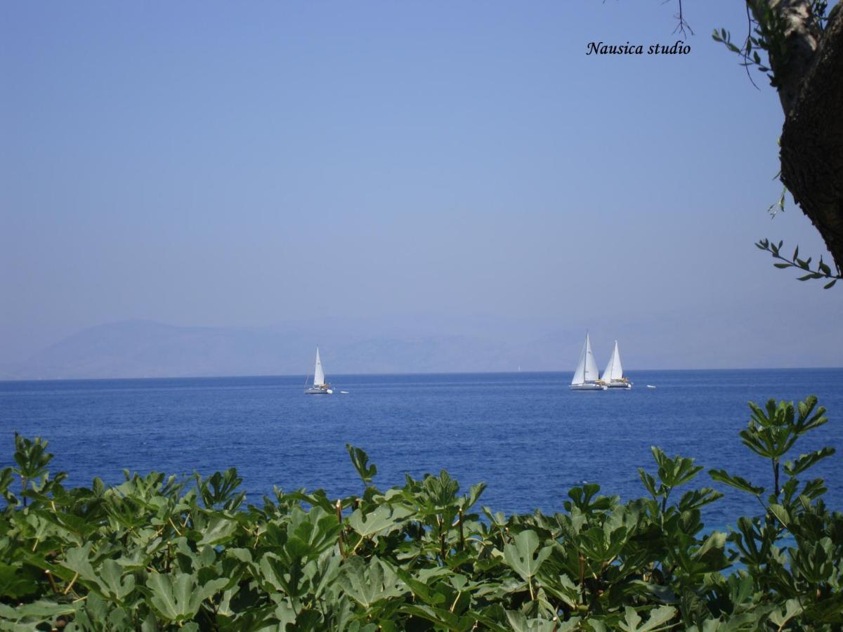 Studio Nausica... A Sense Of Paradise! Agia Pelagia Chlomou Екстер'єр фото